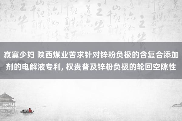 寂寞少妇 陕西煤业苦求针对锌粉负极的含复合添加剂的电解液专利， 权贵普及锌粉负极的轮回空隙性